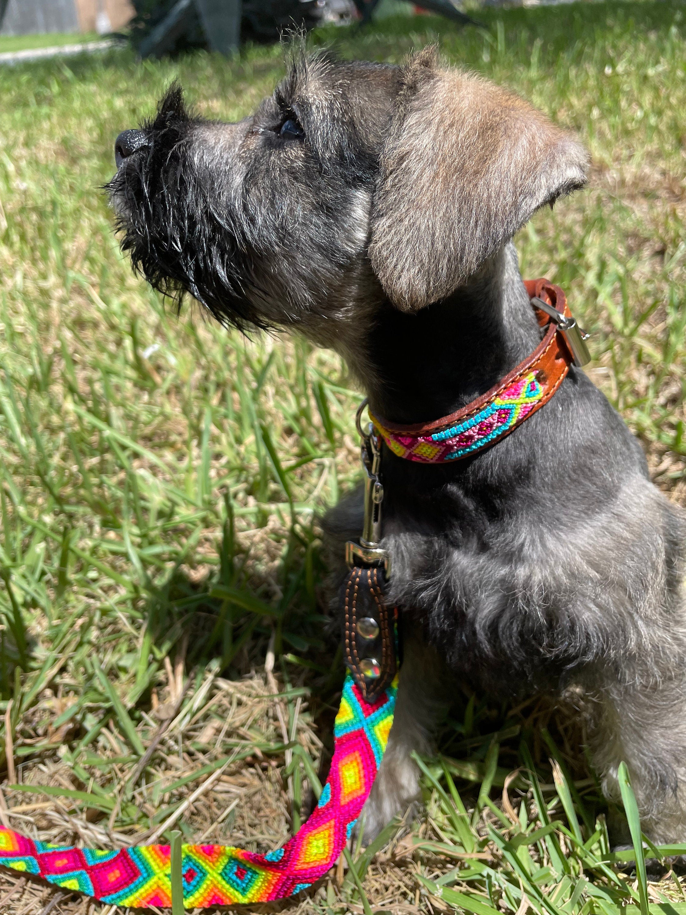 Mexican Handmade Dog Leash and Collar Set - Hand Woven Leather Dog Leashes