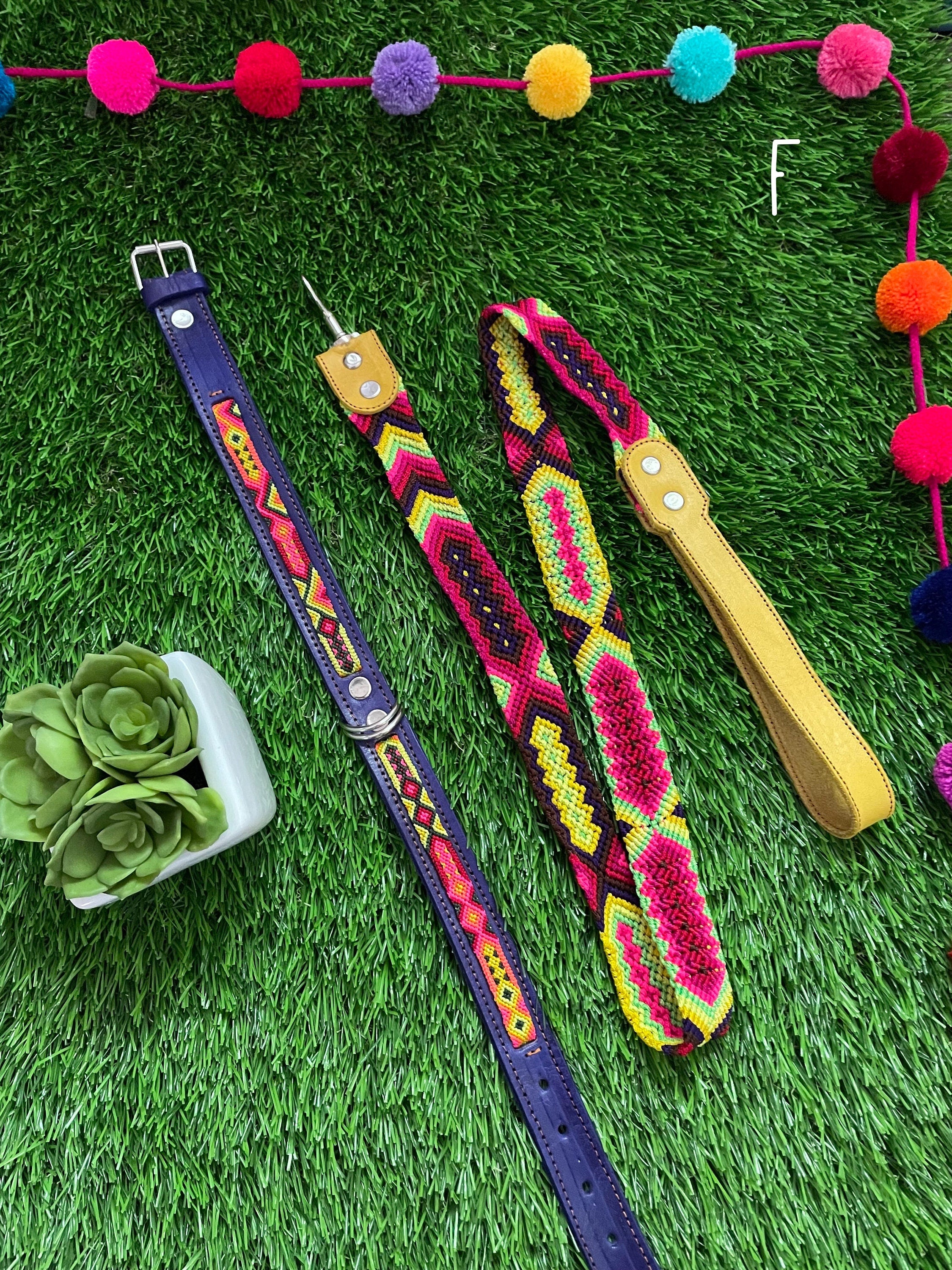 Image of Artisanal Hand Woven Mexican Dog Leash and Medium Size Collar COMBO