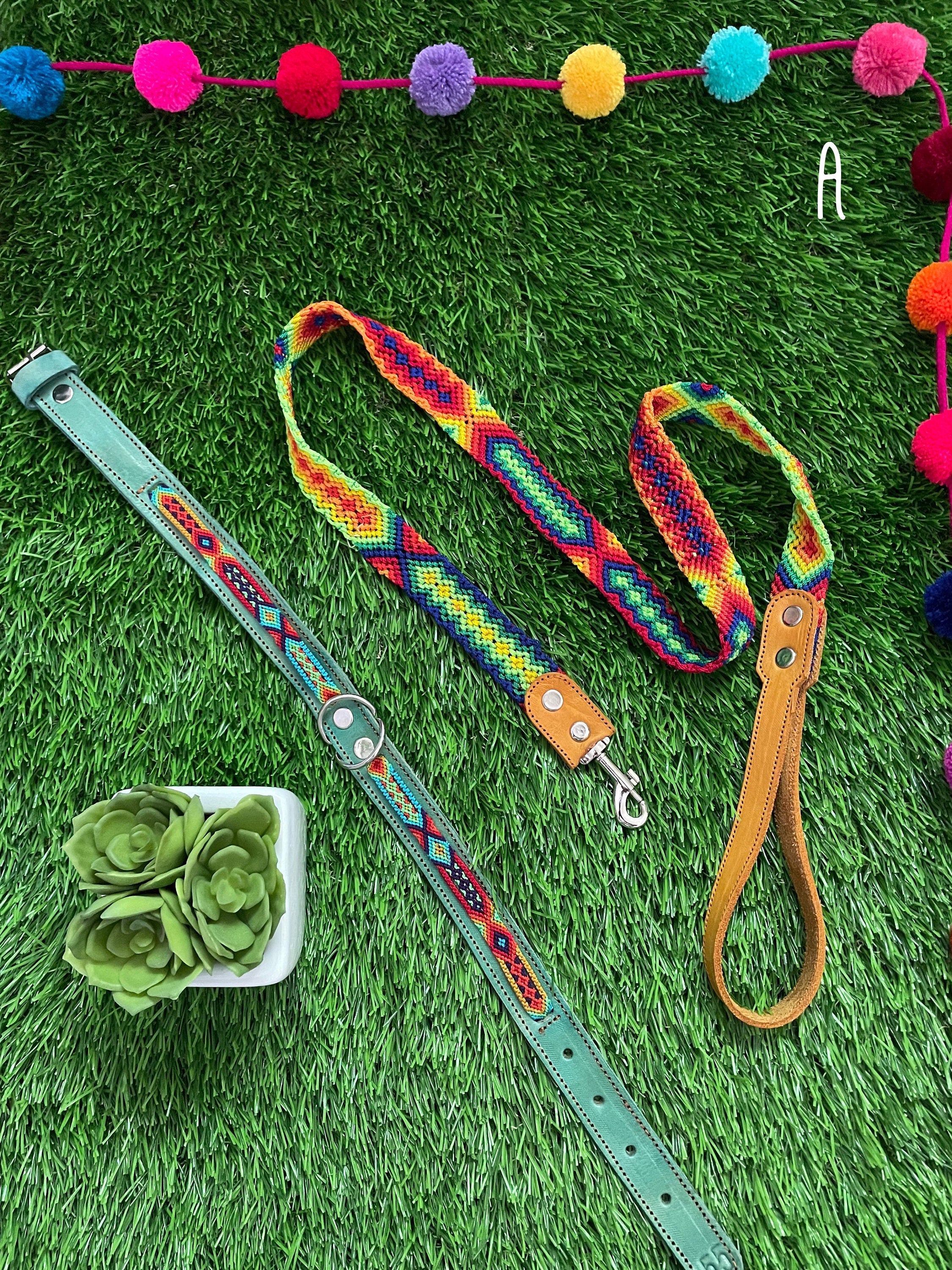 Image of Artisanal Hand Woven Mexican Dog Leash and Medium Size Collar COMBO