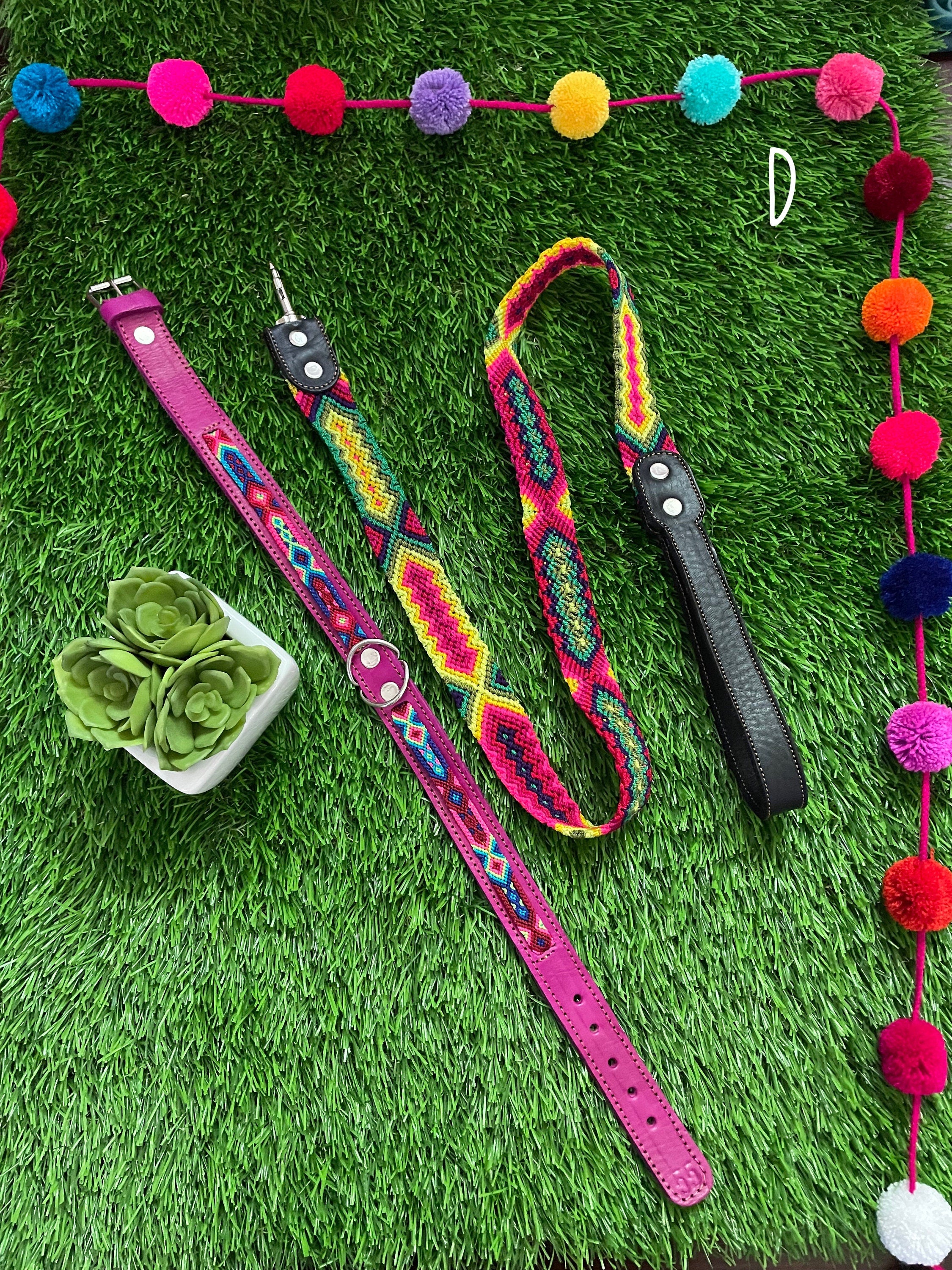 Artisanal Hand Woven Mexican Dog Leash and Medium Size Collar COMBO