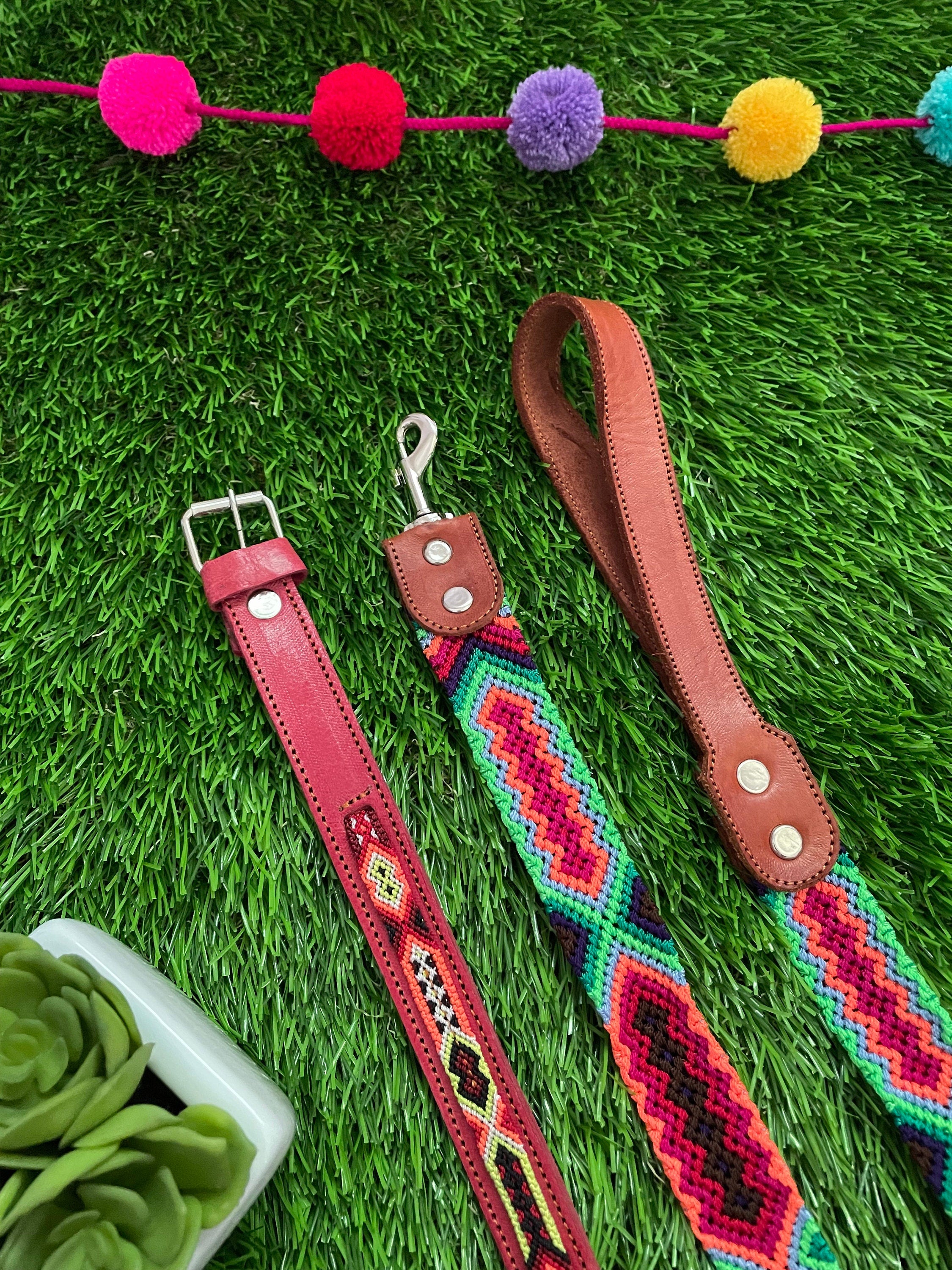 Image of Artisanal Hand Woven Mexican Dog Leash and Medium Size Collar COMBO