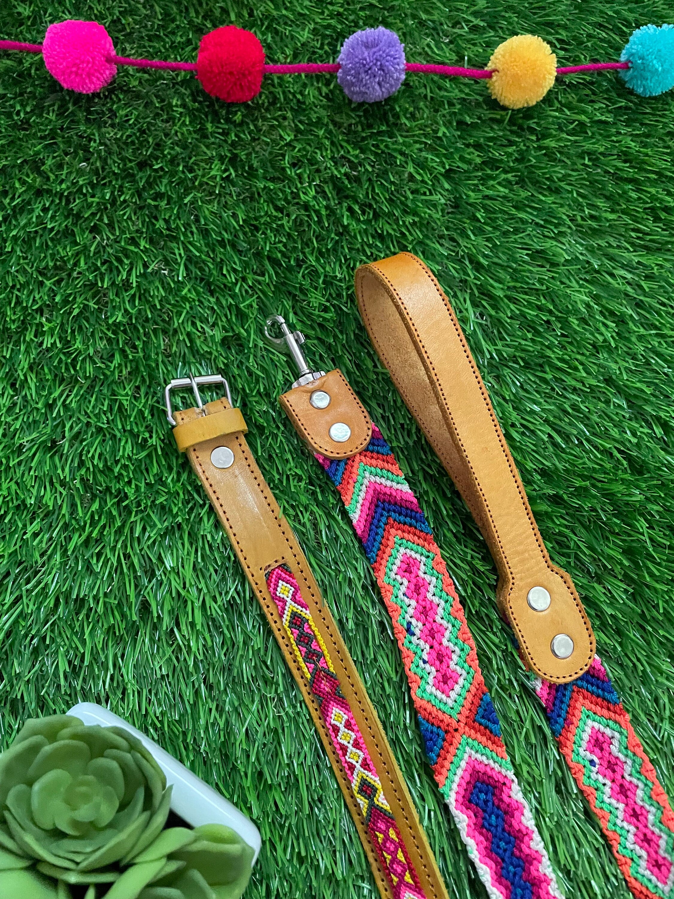 Image of Artisanal Hand Woven Mexican Dog Leash and Medium Size Collar COMBO