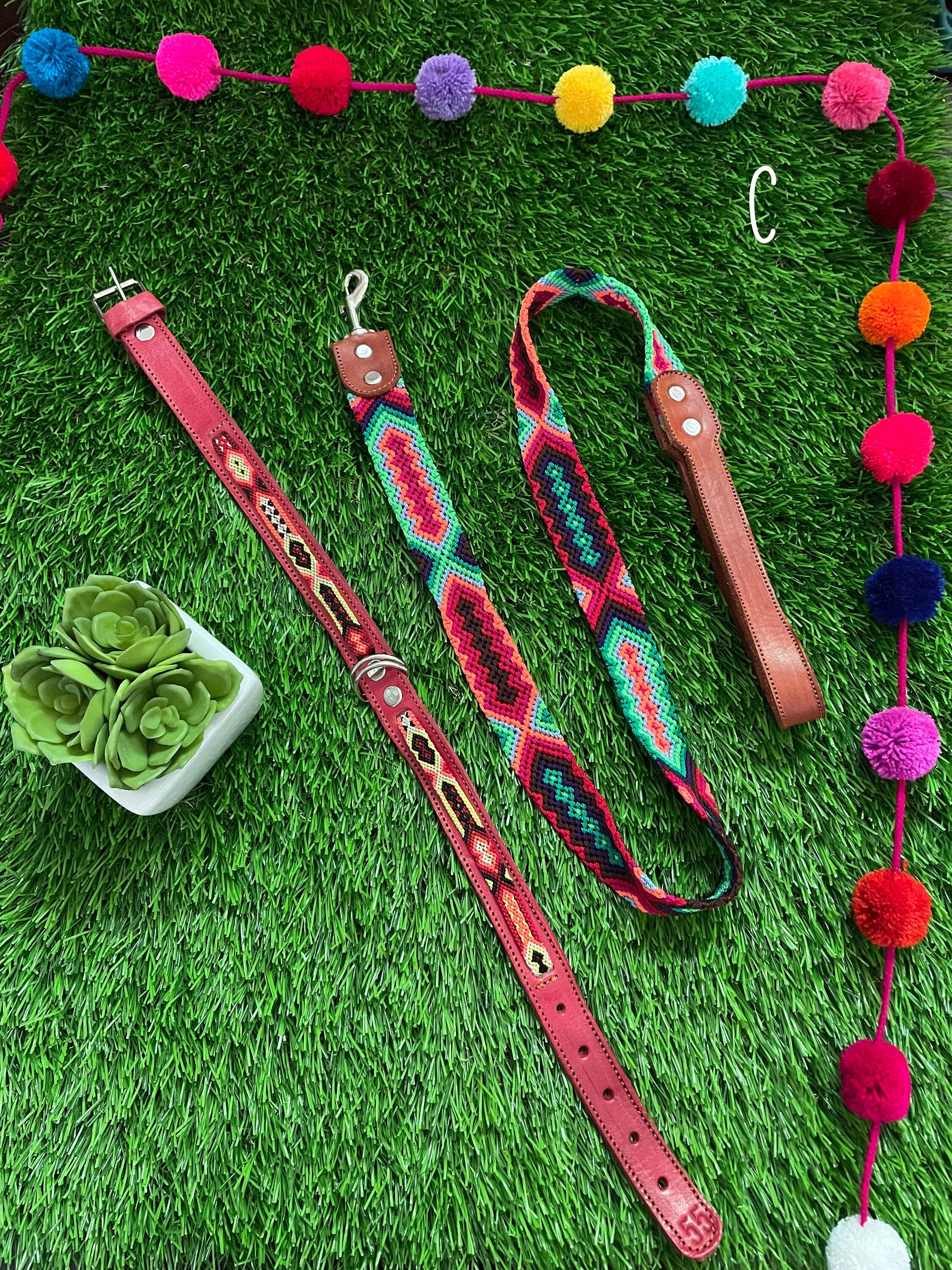 Artisanal Hand Woven Mexican Dog Leash and Medium Size Collar COMBO