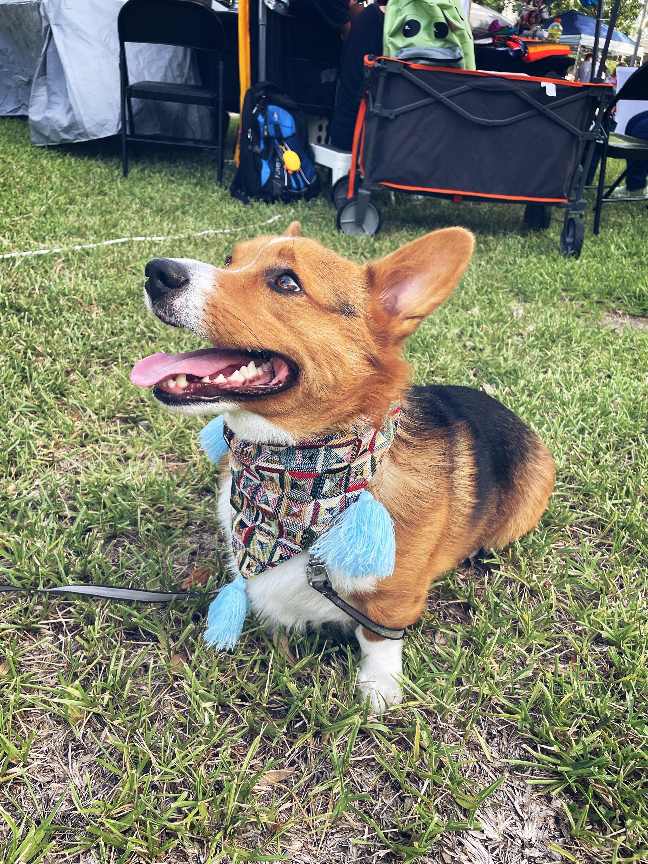 Small Dog Bandanas - Artisan Made Tassel Bandanas - Clip on Bandanas