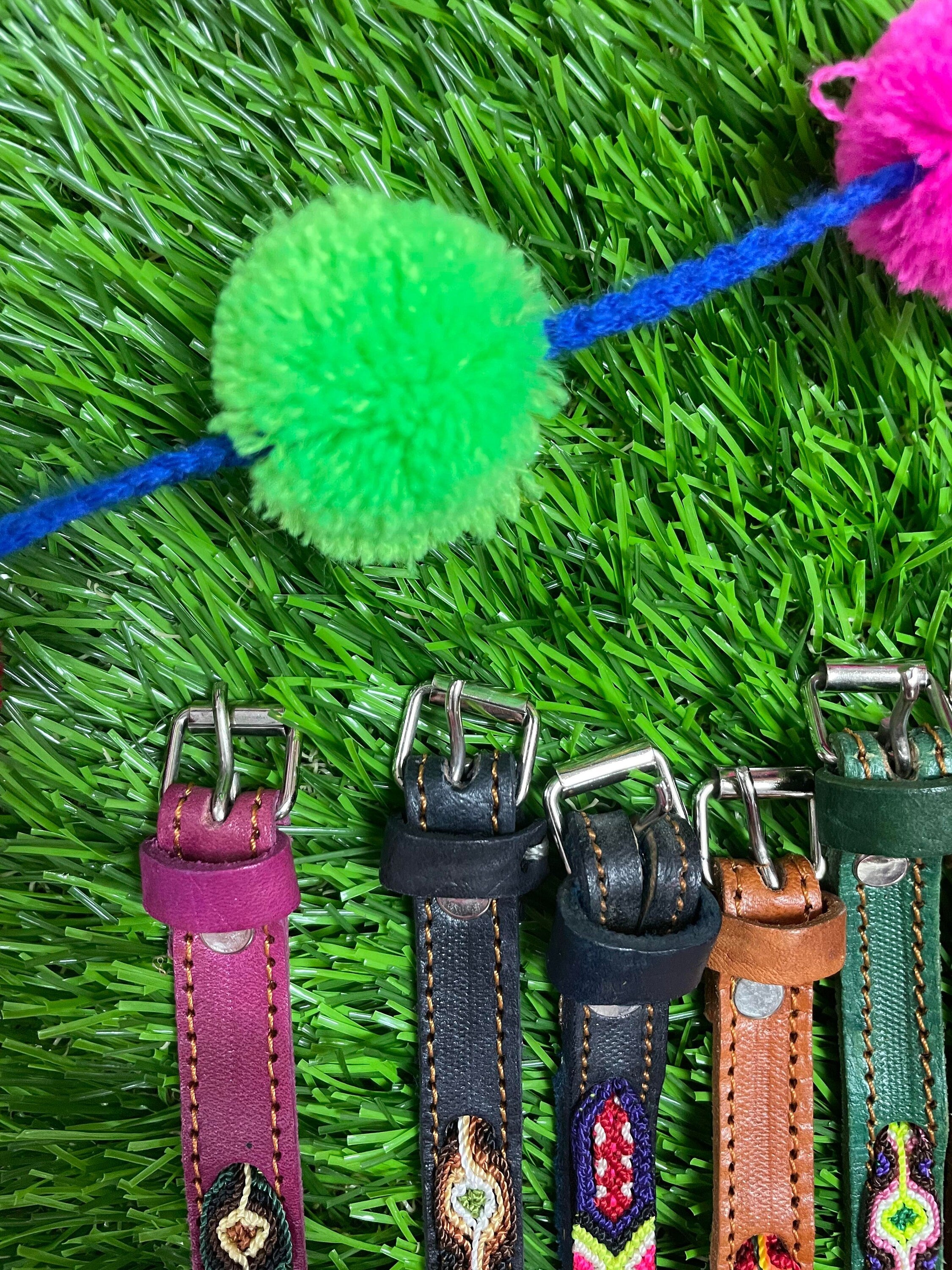 Mexican XS/Small Breed Dog Collars - Artisanal Handmade Dog Collars