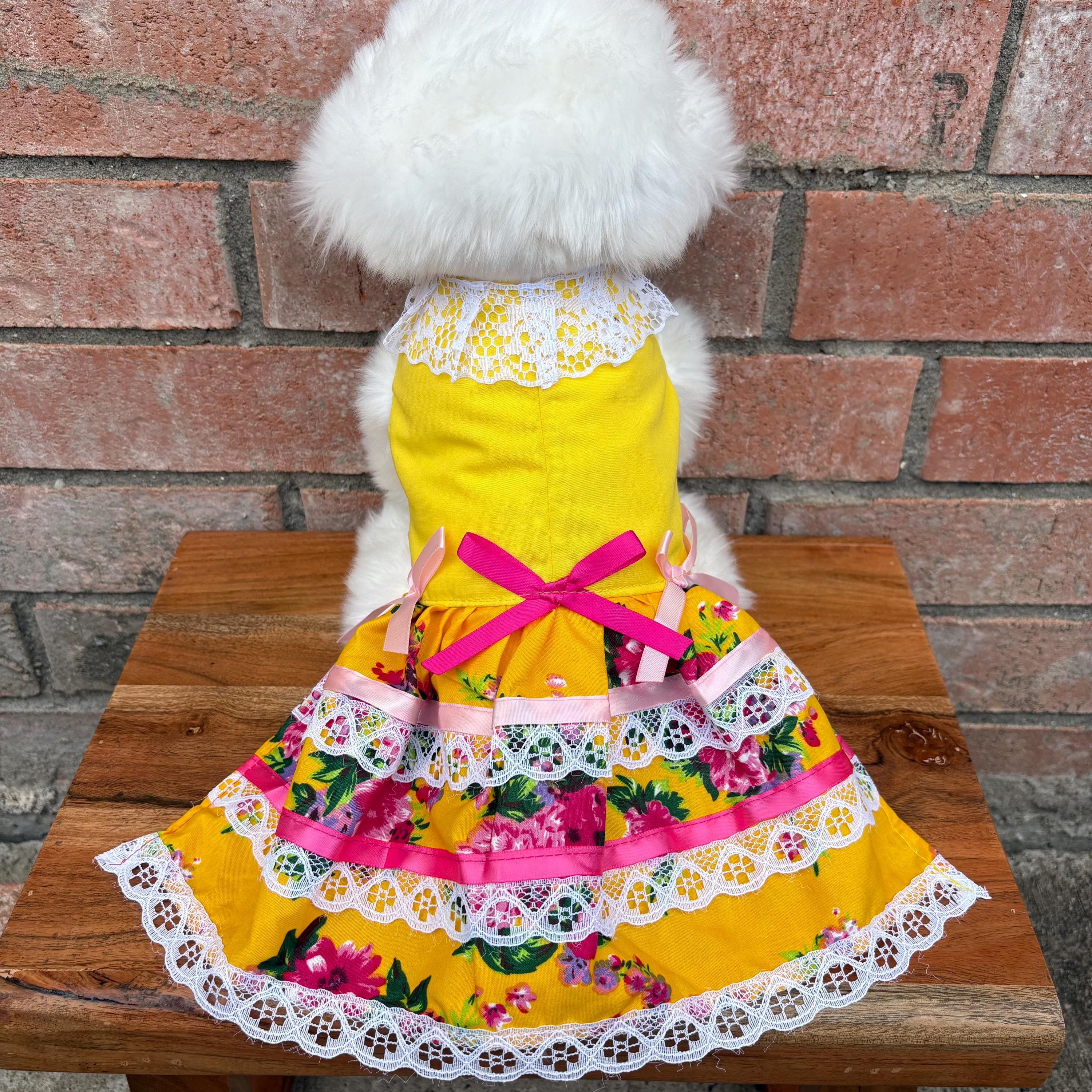 Embroidered Floral Dog Dress: Handmade Sinaloa Style Pet Clothing