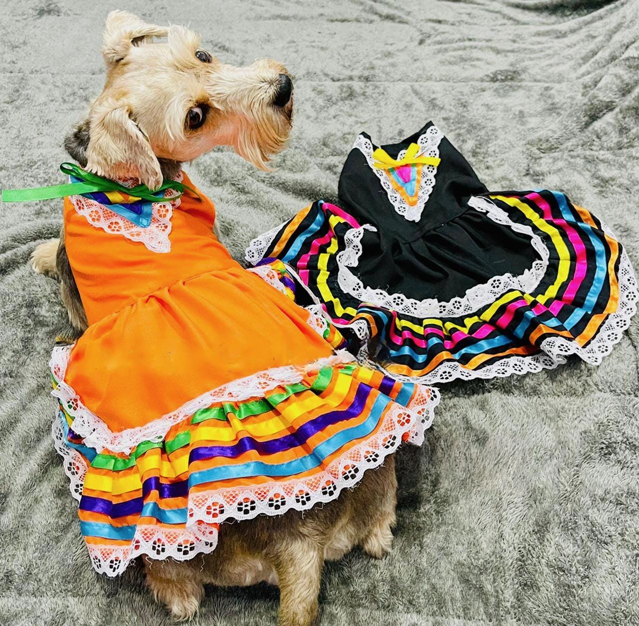 Image of Doggy/Kitty Breed Embroidered Jalisco Dress - Handmade Dog/Cats Clothing