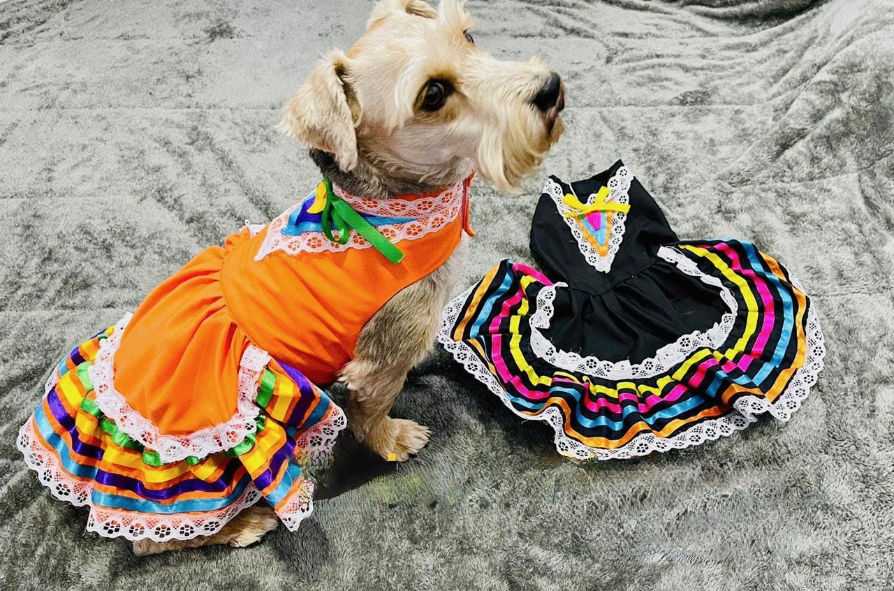 Image of Doggy/Kitty Breed Embroidered Jalisco Dress - Handmade Dog/Cats Clothing