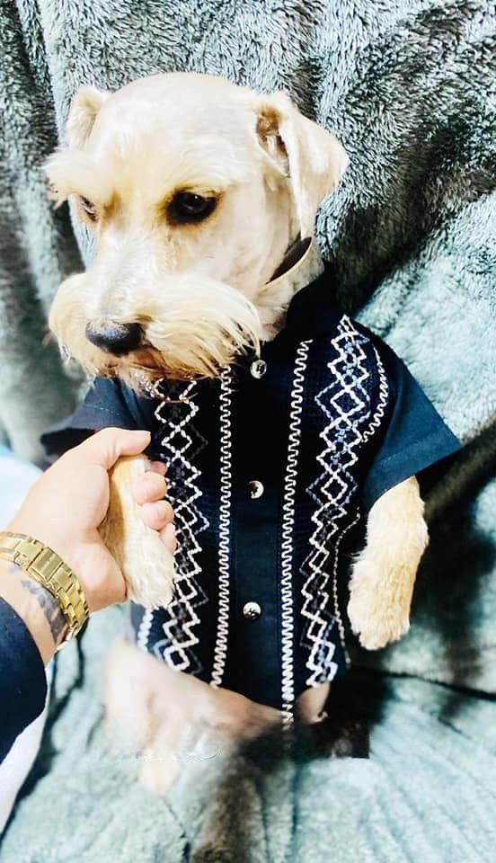 Image of Dog Embroidered Guayaberas - Handmade Dog Clothing