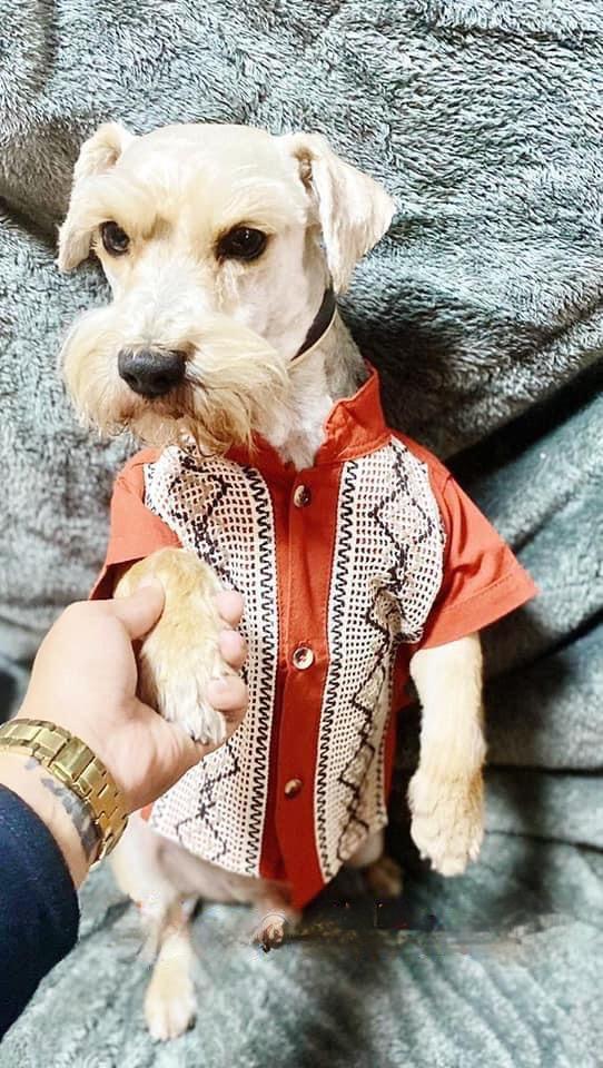 Dog Embroidered Guayaberas - Handmade Dog Clothing