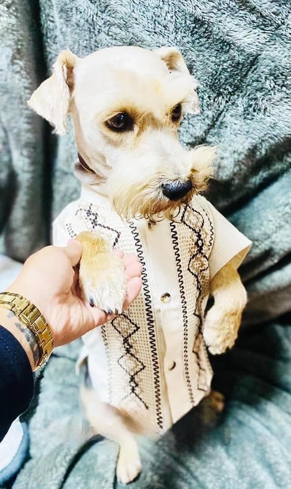 Image of Dog Embroidered Guayaberas - Handmade Dog Clothing