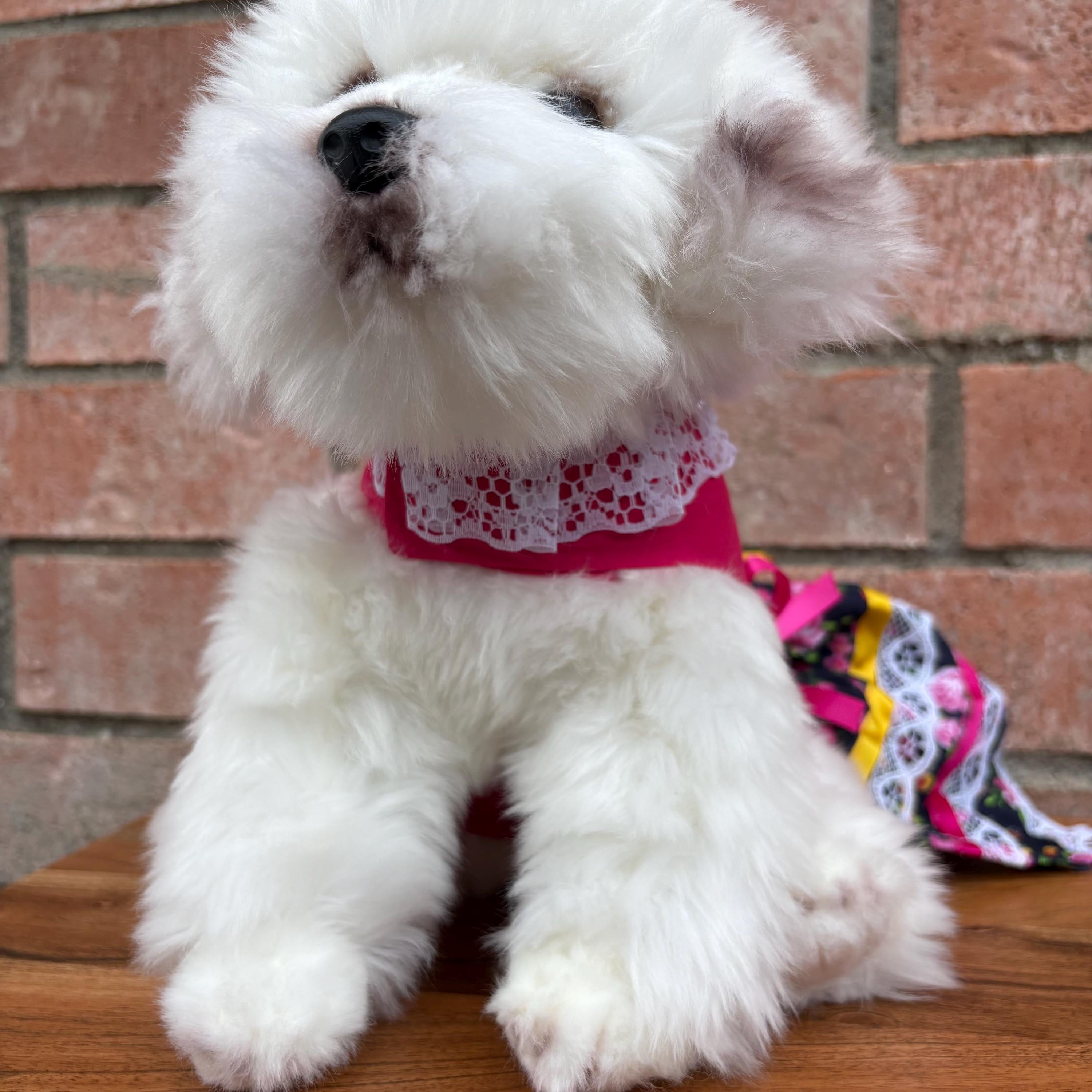 Embroidered Floral Dog Dress: Handmade Sinaloa Style Pet Clothing