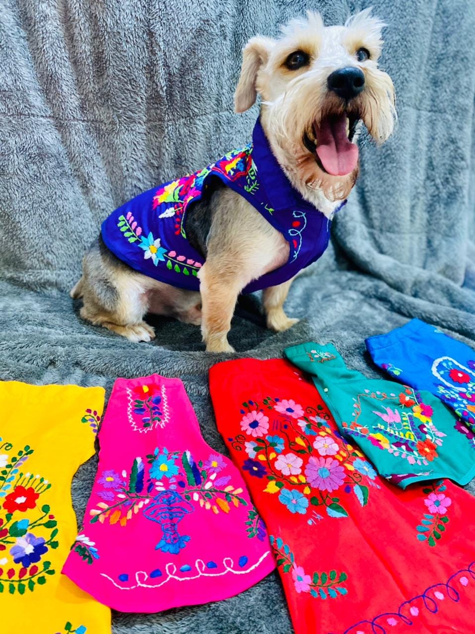 Image of Embroidered Floral Dog Dress: Cape Style Pet Clothing