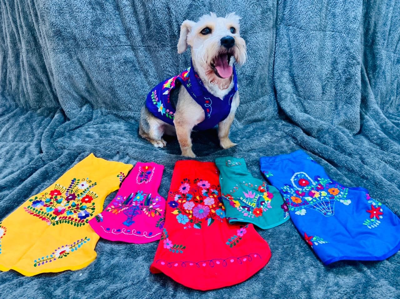 Embroidered Floral Dog Dress: Cape Style Pet Clothing