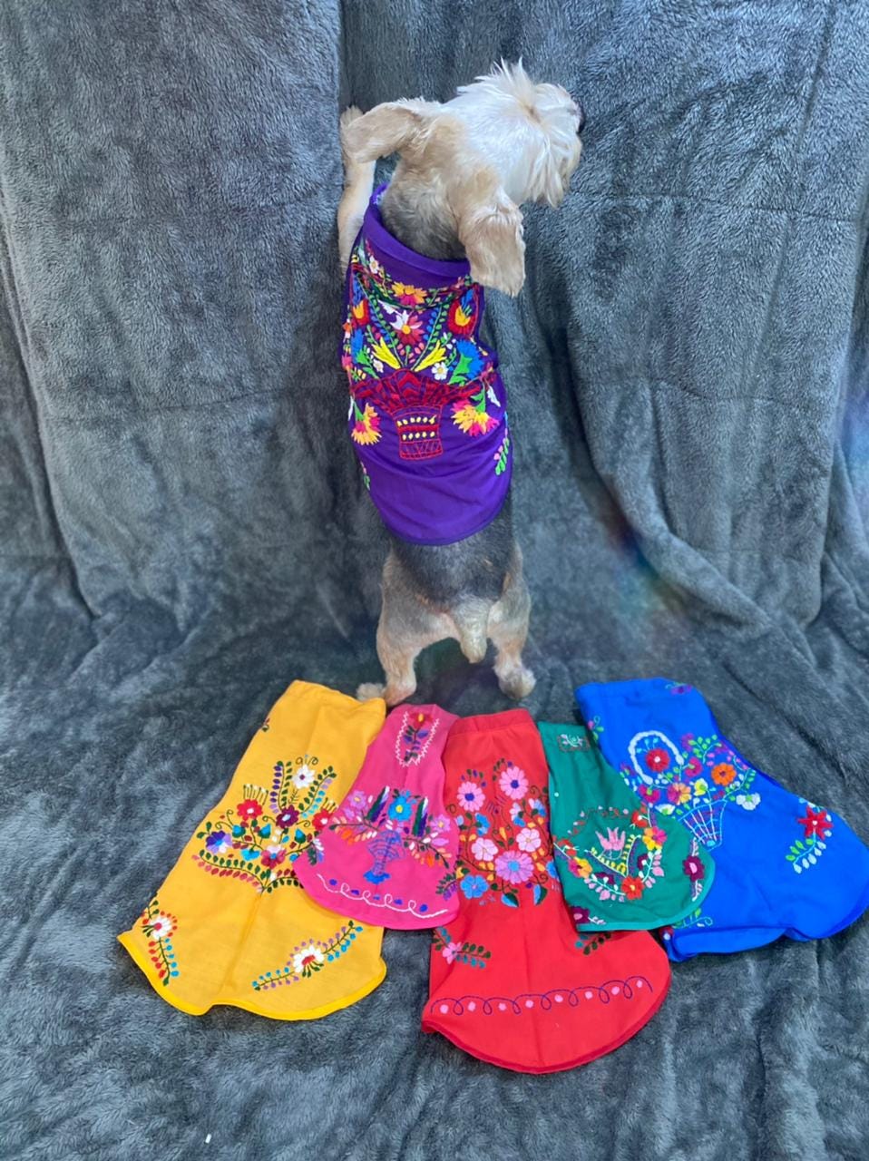 Image of Embroidered Floral Dog Dress: Cape Style Pet Clothing