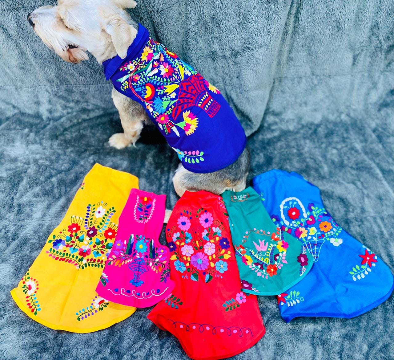 Embroidered Floral Dog Dress: Cape Style Pet Clothing