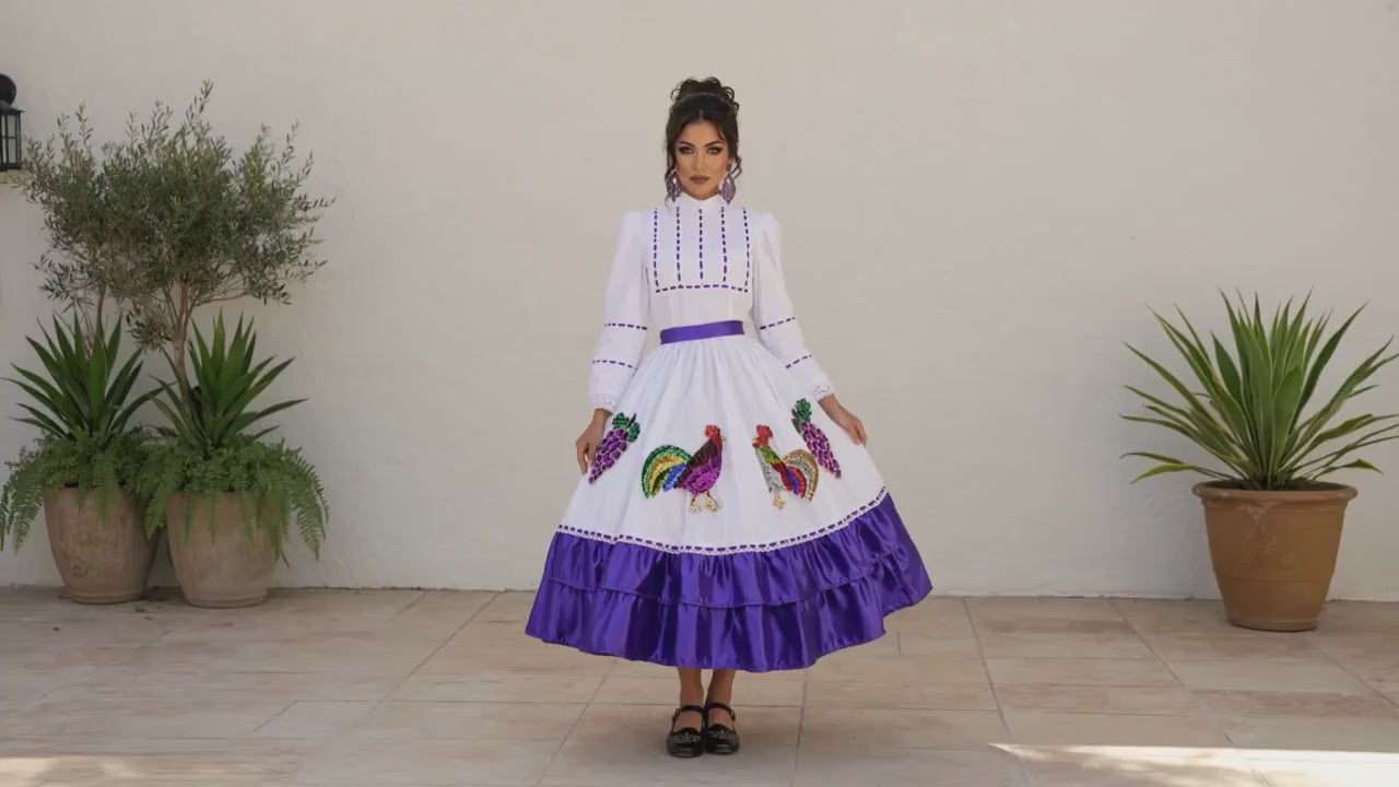 Image of Aguascalientes Folklorico Dress Small, Mexican Folk Dance Costume, Rooster Sequin Dress, Quinceañera Pageant Cultural Outfit