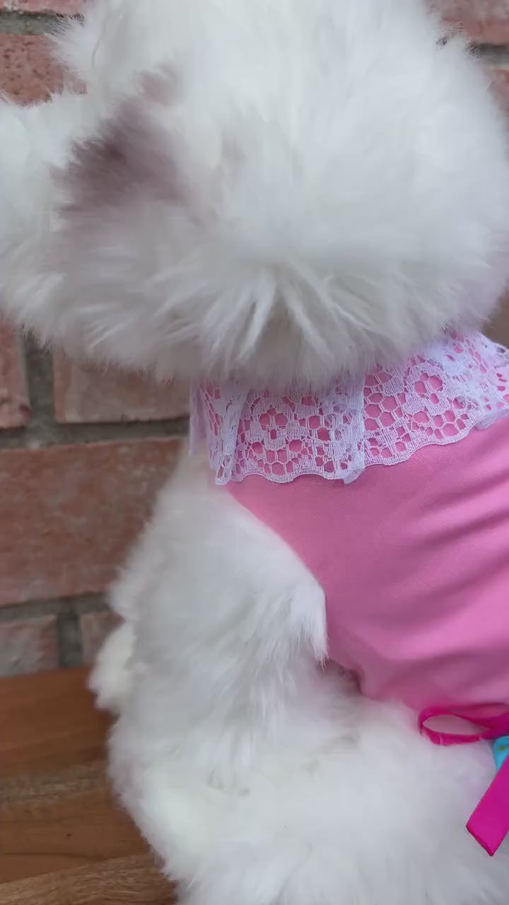 Embroidered Floral Dog Dress: Handmade Sinaloa Style Pet Clothing